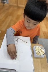 4월4주 실내활동