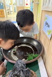 5월2주 실내놀이
