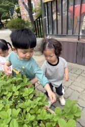 5월2주 실외놀이