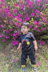 5월2주-꽃보다 예쁜 잎새사랑둥이들