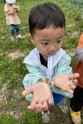 숲산책
