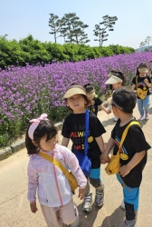 5월4주[고수부지-보라유채꽃관찰]]