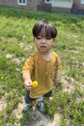 텃밭나들이