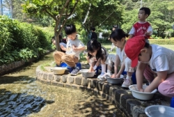 5월5주[단오-부채 꾸미기,씨름,창포잎 물에 손씻기]