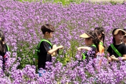 5월3주놀아:강변산책꽃관랓해보기