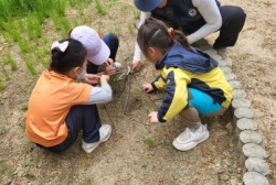 5월3주 영천별빛숲체험원