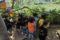 6월1주 숲 놀이터 소풍