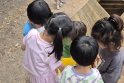 6월2주[바깥놀이, 숲산책]