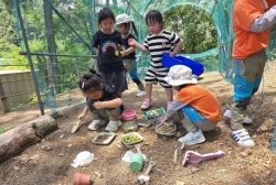 6월3주 숲 소풍