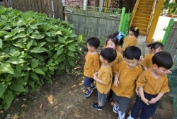 6월3주 텃밭 관찰