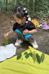 숲-자연물로 집만들기