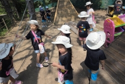8월3주 장수풍뎅이를 찾아라