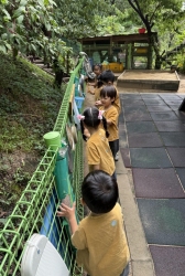 9월2주 캥거루처럼 뛰어봐요 인형그네 태우기 놀이터