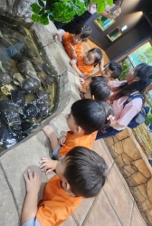 10월3주-가을소풍(토이빌리지)