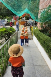 10월4주-고구마&땅콩캐기