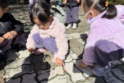 10월5주-밤,도토리 팽이놀이