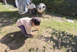 10월5주-자연물로 얼굴꾸미기