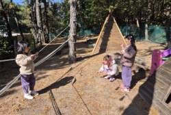 11월1주[숲놀이터]