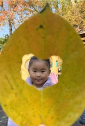 11월 2주 숲놀이(자연물보험찾기)