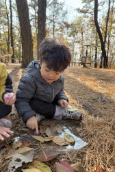 11월 3주 자연물액자