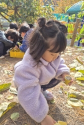 11월3주[자유놀이]