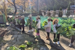 11월4주[무 캐기, 관찰 그림]