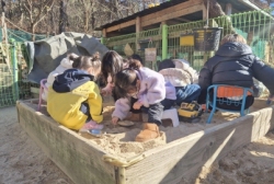 12월2주[자유놀이]