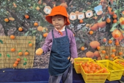 12월2주-감귤오감놀이