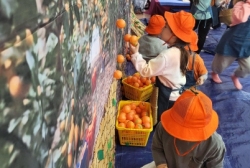 12월2주놀이:혼자옵서예배움놀이 귤로 놀아요