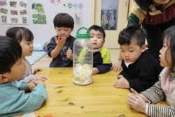 레몬청만들기